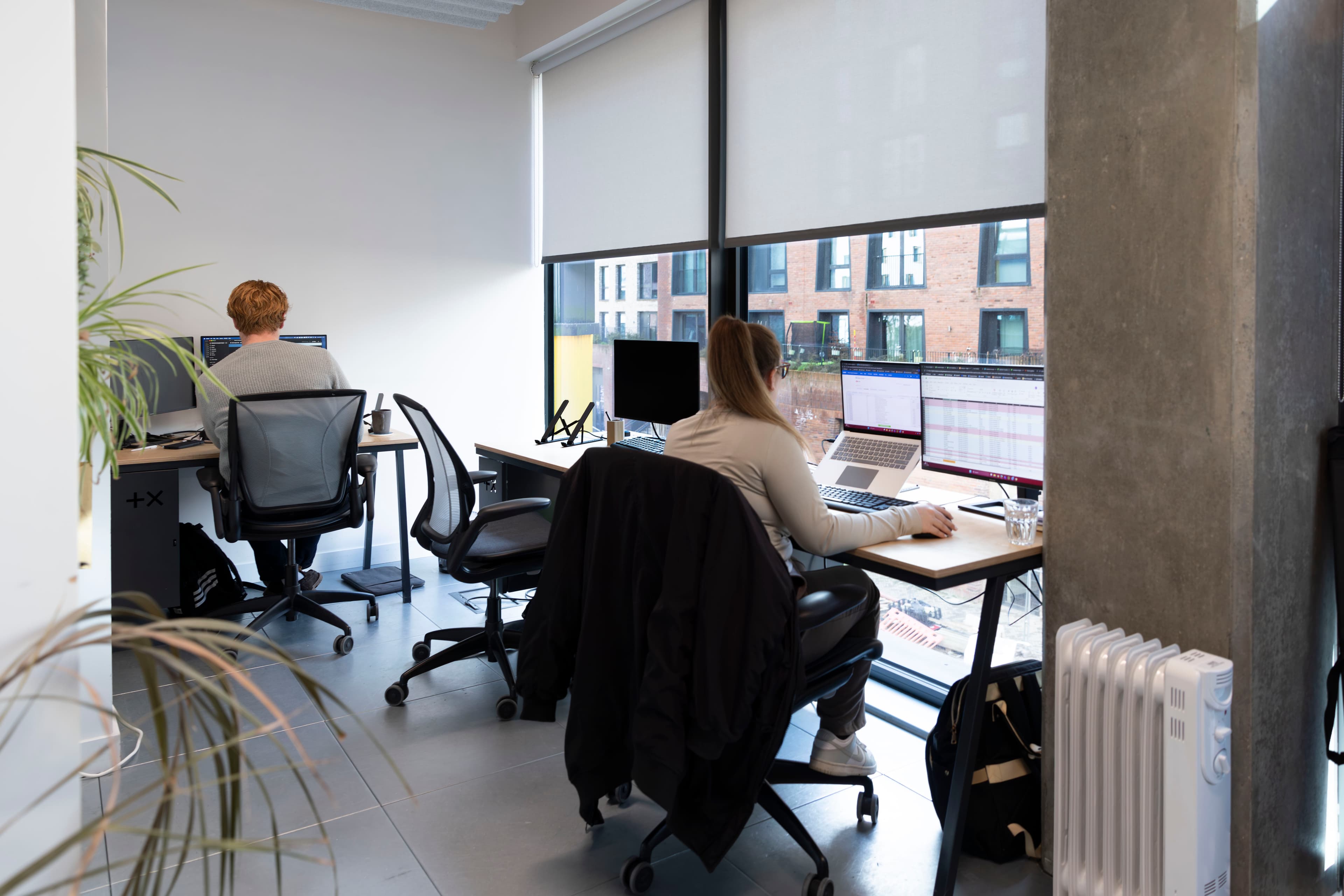 Acenteus team at work in the office